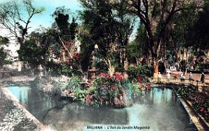 Miliana - Jardin Magenta - l'ilot